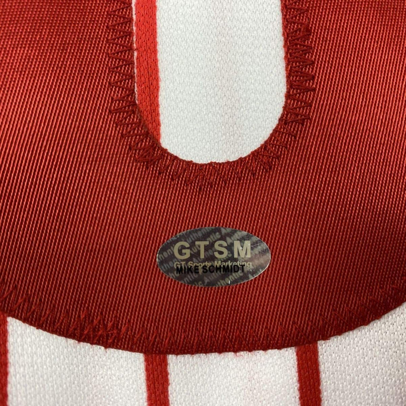 Autographed/Signed Mike Schmidt Philadelphia Pinstripe Baseball Jersey GTSM COA Hologram Only